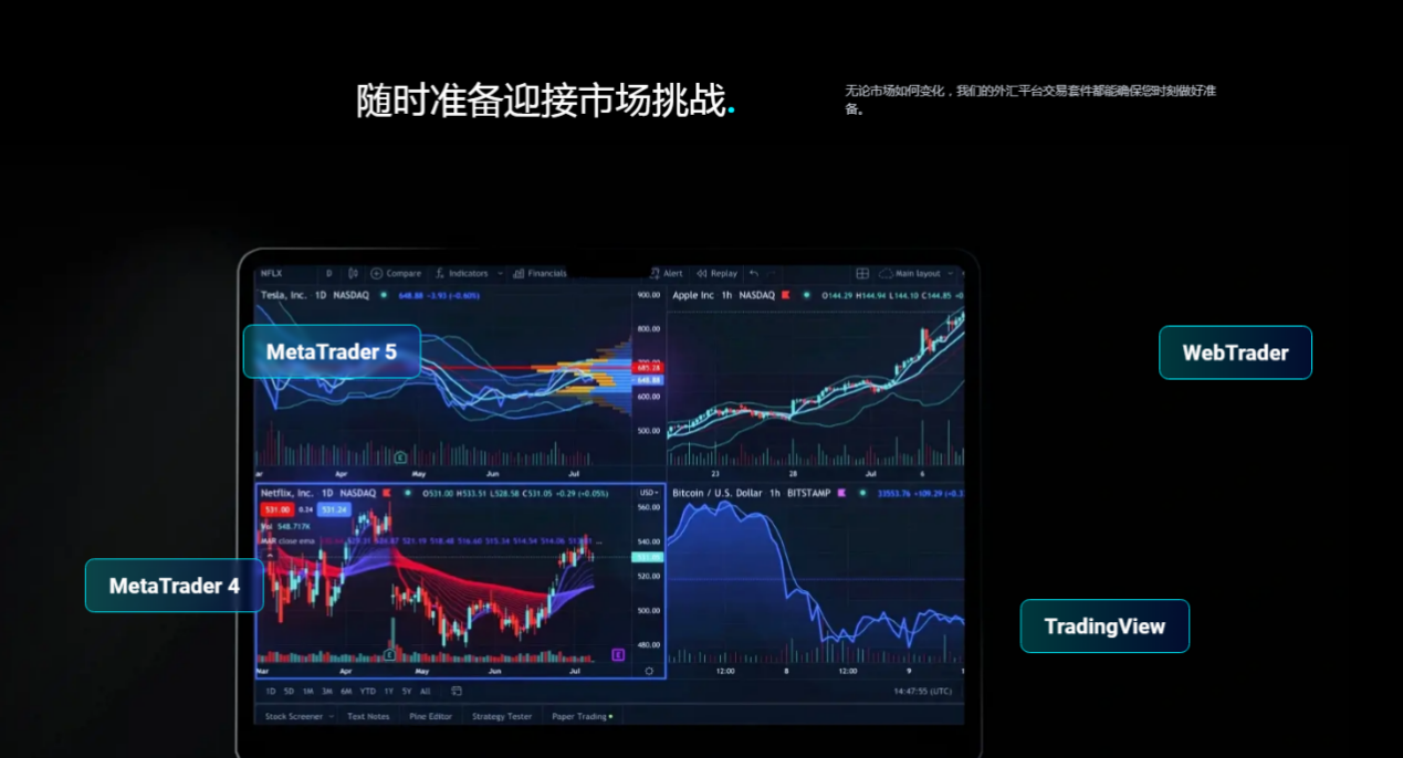 新手如何选择靠谱的股票配资平台？全面解析避坑指南